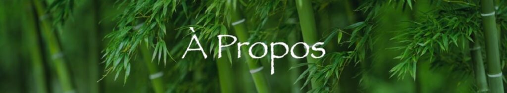 bouillotte végétale 974